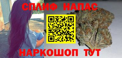 сатива Можга