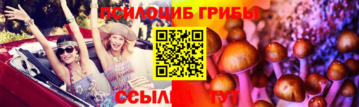 Псилоцибиновые грибы мицелий Верхняя Пышма